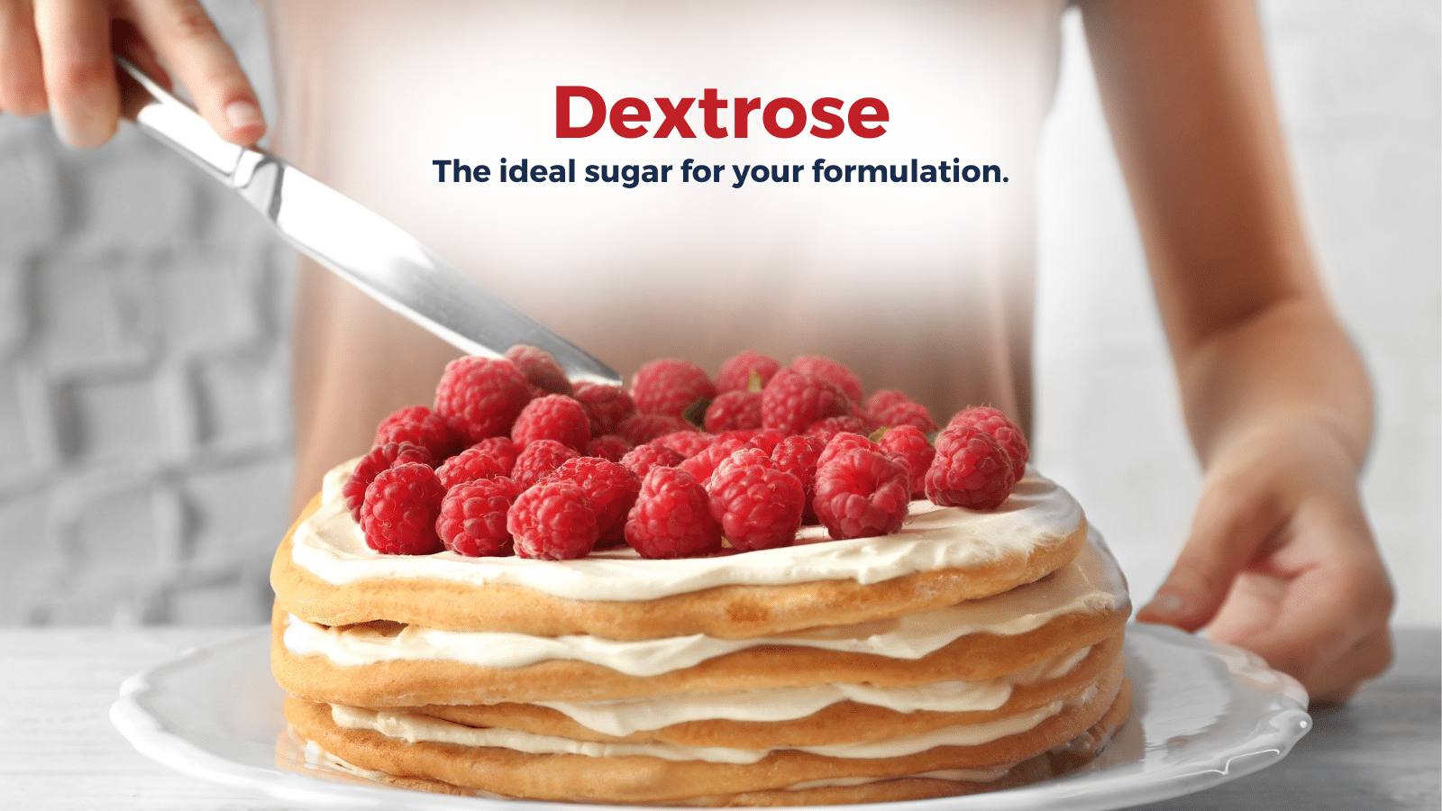 Austrade Inc. Bulk Protein. Lecithin. Starch. Sweetener. Oil.