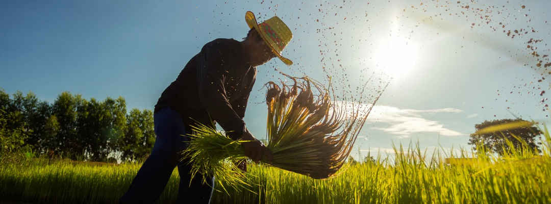 Let’s Grow Together in 2025