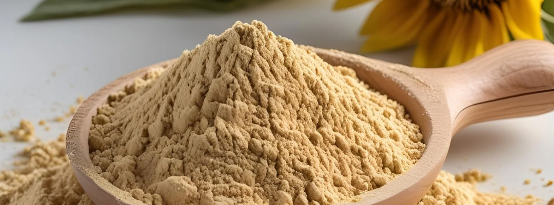 Food Business News features Austrade’s Non-GMO Hydrolyzed Sunflower Lecithin