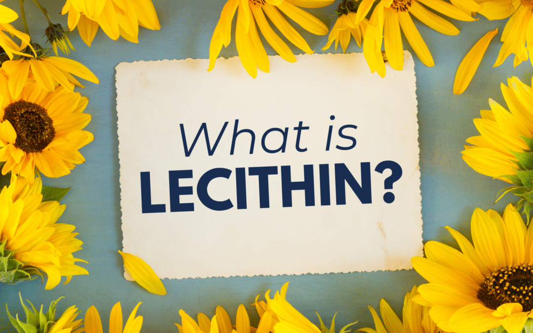 What is Lecithin?