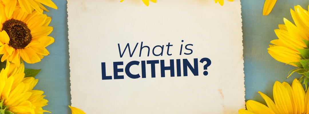 What is Lecithin?