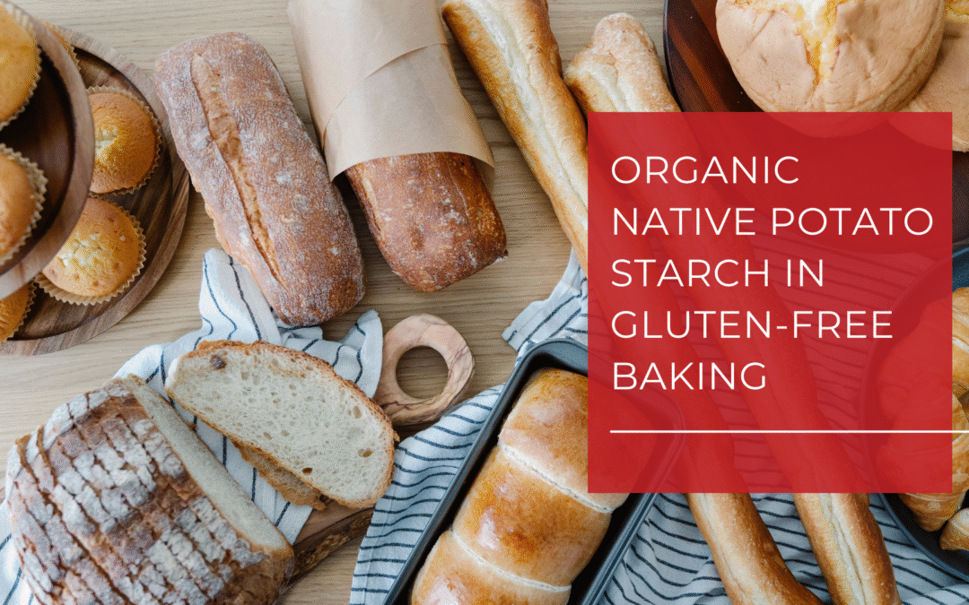 Assortment of bread loaves spread across a wooden table over blue and white striped cloth with blog title