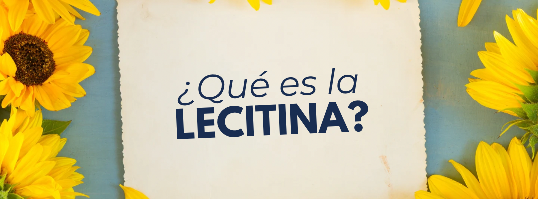 ¿Qué es la Lecitina? Emulsificante Natural para Alimentos