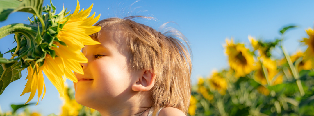 Rethinking Seed Oils: The Organic High Oleic Opportunity